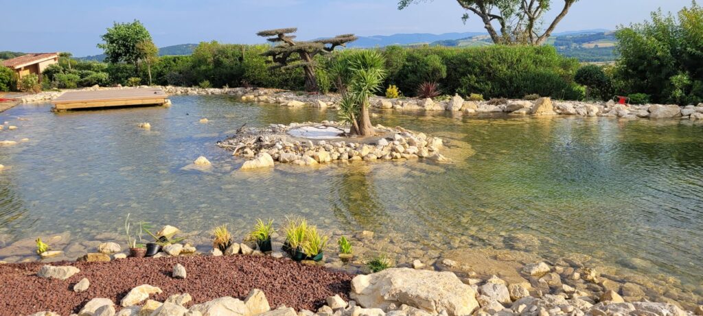 Bassins aquatiques img 20250726 wa0099