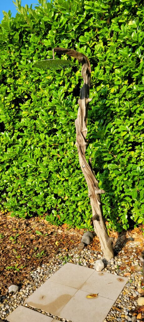 img 20250726 wa0101[1]