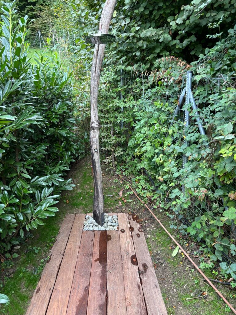 img 20251006 wa0000[1]