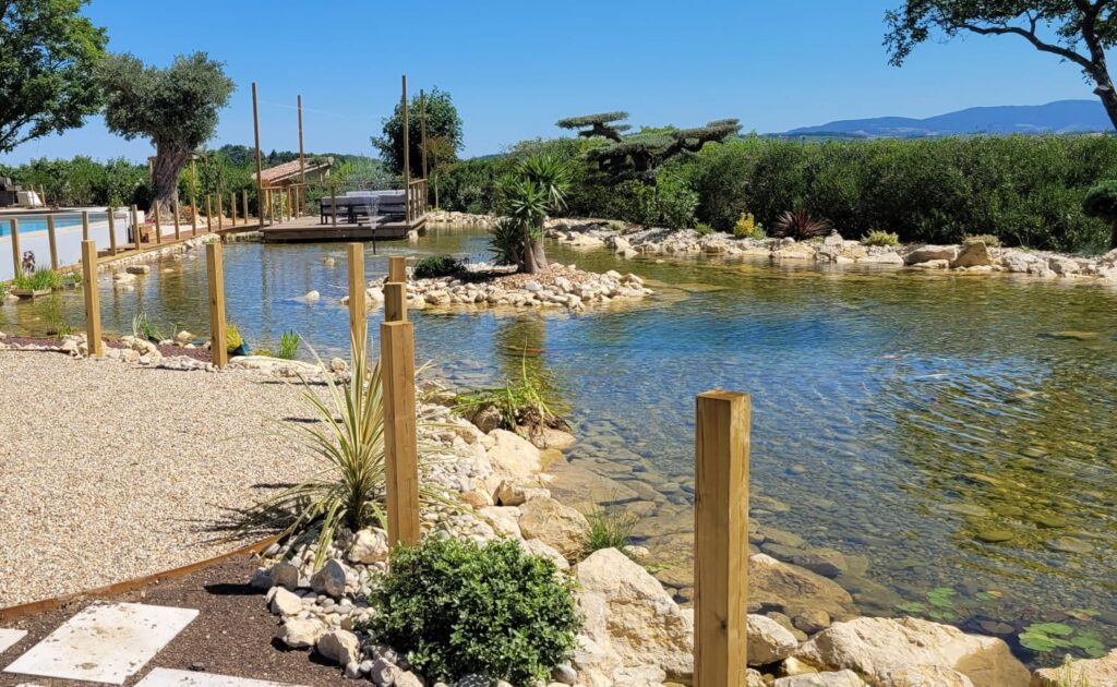 Bassins aquatiques img 20250726 wa0106