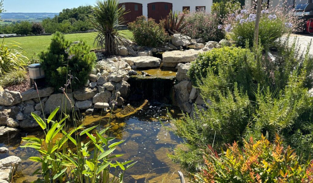 Bassins aquatiques img 20250928 wa0054